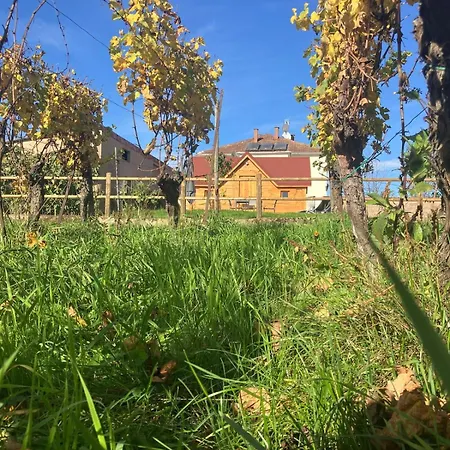 Prázdninový dům Domaine Rosfelder - Locations De Et Insolite Gertwiller